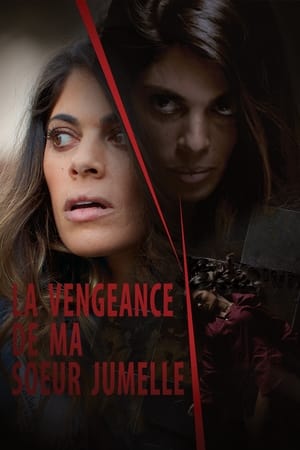 Image La vengeance de ma sœur jumelle