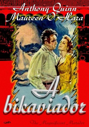 Image A bikaviador