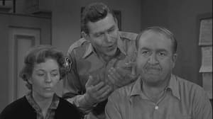 The Andy Griffith Show Andy, the Marriage Counselor