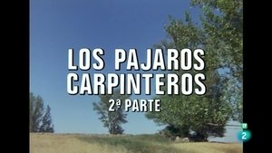 Episode 42