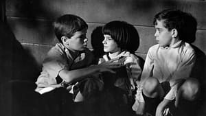 พิพากอธรรม (1962) To Kill a Mockingbird