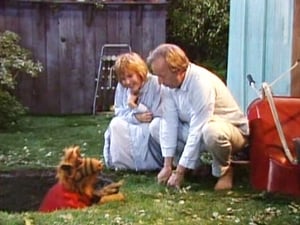 ALF: 3×13