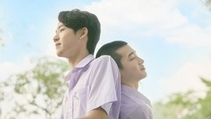 Love Sick ( 2024 )