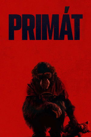 poster Primate