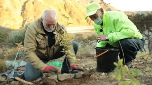 Journeys in Japan: 11×23