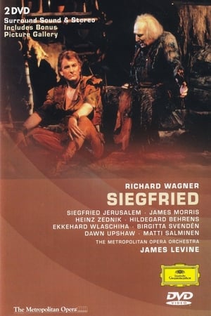 Poster Siegfried 1990