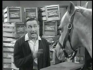 Mister Ed Season 5 Episode 10