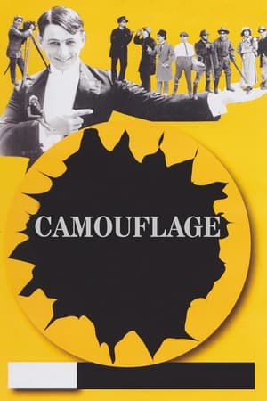 Image Camouflage