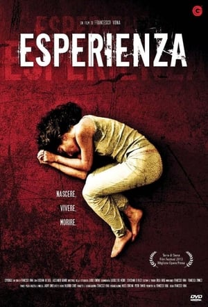 Poster Esperienza (2013)