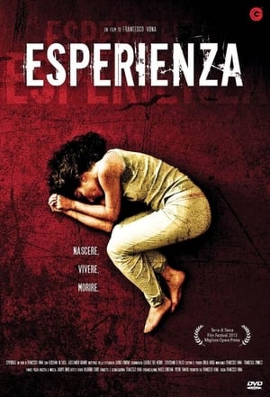 Poster Esperienza 2013