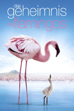 The Crimson Wing: Mystery of the Flamingos 14