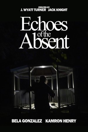 Image Echoes of the Absent