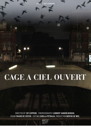 Cage À Ciel Ouvert