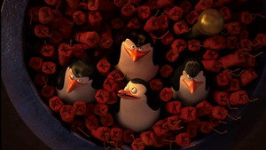 Penguins of Madagascar