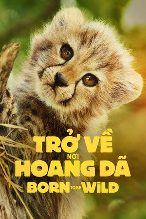 Image Trở Về Nơi Hoang Dã - Born to Be Wild