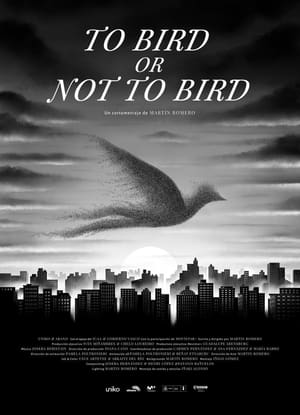 Image To Bird or Not to Bird