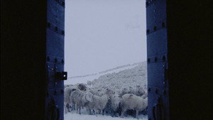 The Wind Blows Wherever It Wants