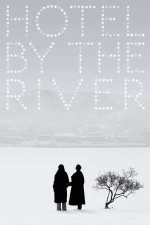 Hotel by the River poster