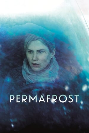 Poster Permafrost 2014