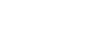Strawman — Logos 1
