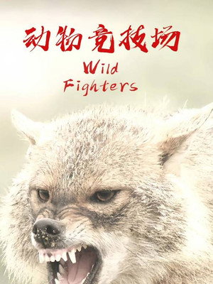 Wild Fighters