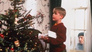 โดดเดี่ยวผู้น่ารัก Home Alone 1 (1990)  พากไทย