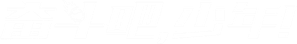 Ảnh 11