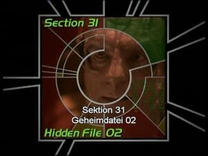 Image Section 31: Hidden File 02 (S06)