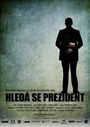 Poster Hledá se prezident 2013