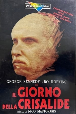 Poster Il giorno della Crisalide 1988