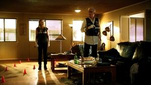 CSI: Crime Scene Investigation: 13×7