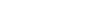 2 Fast 2 Furious