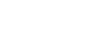 The Rebel