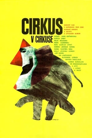 Image Cirkus v cirkuse