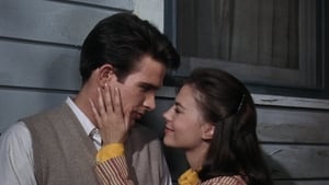 Splendor in the Grass (1961)