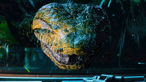 Anaconda (2025) อนาคอนดา เลื้อยสยองโลก