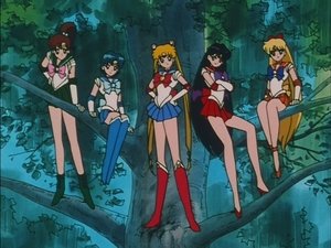 Sailor Moon Season 3 Episode 26