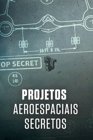 Image Secrets in the Sky: The Untold Story of Skunk Works
