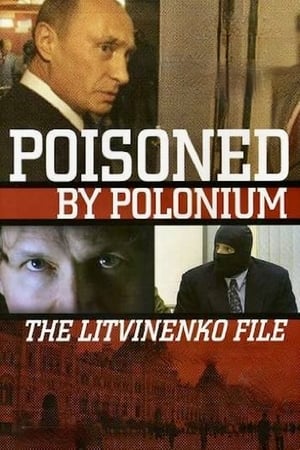 Poster Rebellion: The Litvinenko Case (2007)