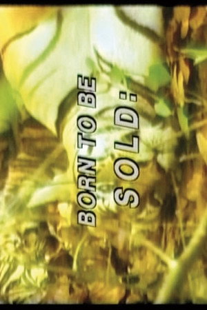 Born to Be Sold: Martha Rosler Reads the Strange Case of Baby S/M Born to Be Sold: Martha Rosler Reads the Strange Case of Baby S/M