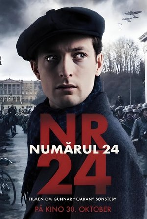 Image Numărul 24