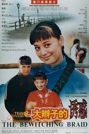 Poster 大辮子的誘惑 1996