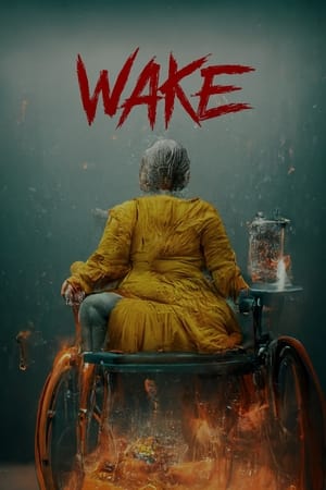 Poster Wake (2024)
