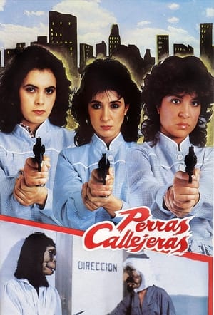 Poster Female Street Dogs (1985)