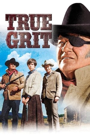 Click for trailer, plot details and rating of True Grit (1969)