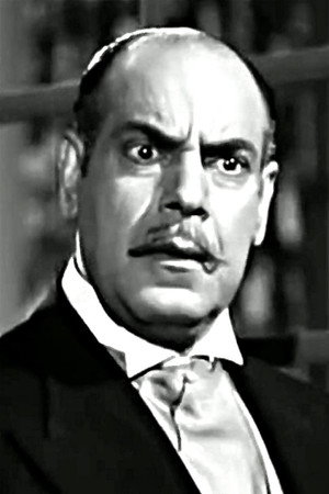 Serag Mounir portrait