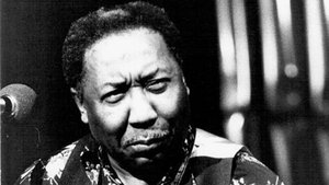 Muddy Waters: Can't Be Satisfied