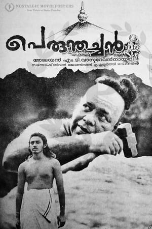 Poster പെരുന്തച്ചൻ 1991