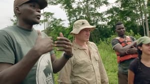 Expedition with Steve Backshall Gabon