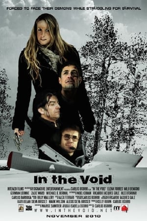 Poster In the Void (2013)